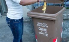 Il bidone perde il coperchio: tempi lunghi per cambiarlo