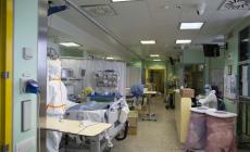 Speranza: 'Siamo nel pieno dell'epidemia: guardia alta'. L'Ordine degli infermieri. 'Quattromila contagiati'.Trump rinuncia alla quarantena per New York