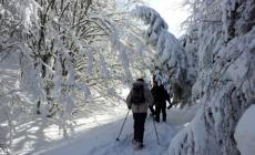 Weekend: 5 appuntamenti da non perdere