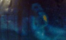"Ho fotografato la dama del fantasma"
