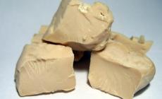 Lievito a ruba? (E manca) 'Si coltiva e non si fa'