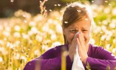 La stagione delle allergie sarà più lieve