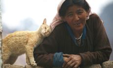 Ladakh, a due passi dal cielo