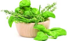 Erbe aromatiche: il profumo nel piatto