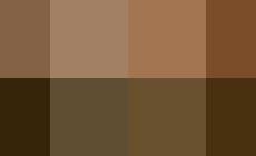 ll popolo del Golese: &laquo;Ascoltateci&raquo;