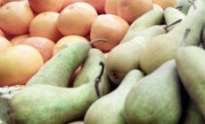 E la Coldiretti propone: "Frutta e verdura in cattedra tutto l'anno contro l'obesità"