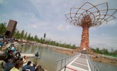 In Belgio, a Expo, prelibatezze a base di insetti