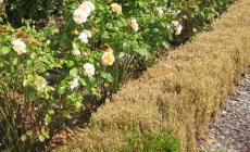 La scelta delle bordure