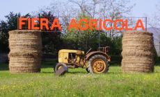 Weekend: la Top5 degli appuntamenti