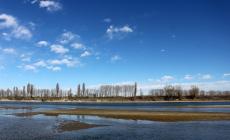 L'acqua scarseggia sul Po, verso lo 'stato di sofferenza'