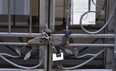 Report Svimez, all'Italia il lockdown costa 47 miliardi al mese