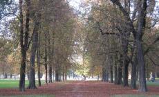 I colori dell'autunno