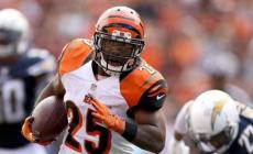 NFL, applausi ai Bengals