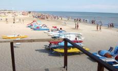 Squalo ai Lidi ferraresi: fuggi fuggi fra i bagnanti ma era una specie innocua