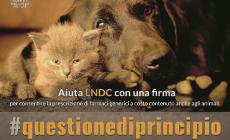 «Farmaci veterinari meno cari!»