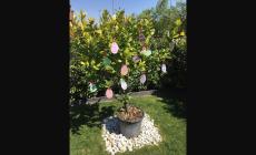 Le uova di Pasqua che fioriscono in giardino