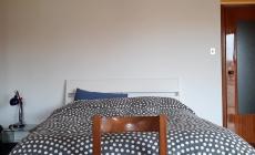 Da Parma al resto d'Italia: le 'Vite in quarantena' raccolte dallo storyteller Nicola Gennari- Video