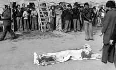 Pasolini, mistero meno fitto?