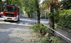 Il Parmense squassato dalle raffiche di vento: molte telefonate ai vigili del fuoco