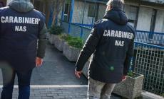 Case di riposo, controlli a tappeto del Nas