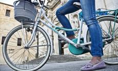 Ada e Fiab Parma propongono la pedalata "Alberi da scoprire in città"