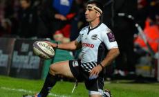 Zebre rimontate a Dublino