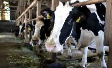 Quote addio. Ma i problemi rimangono