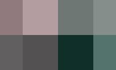 Ecco il calendario di "Io Parlo Parmigiano"