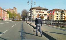 Una volante salva gli anatroccoli persi sul Ponte delle Nazioni