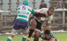 Zebre, si avvicina il "derby d'Italia"