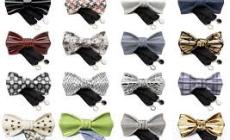 Papillon party
