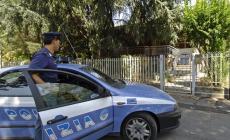 "Aggredita al parco: volevano rubarmi il cane"