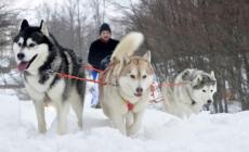 Neve, carnevale, musica: 5 eventi da non perdere