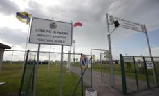 Rissa tra genitori: sconfitta a tavolino per le due squadre