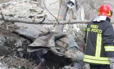 Massi cadono dalla Pietra di Bismantova: danni