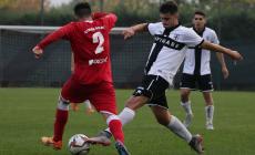 "Bordocampo" su TvParma