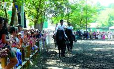 Cavalli, fiere e... tanto gusto