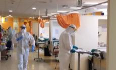 Fabi: 'Occupazione dimezzata nei tre ospedali del Parmense' - Video 