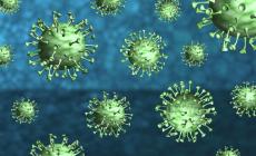 Coronavirus, in Umbria zero contagi