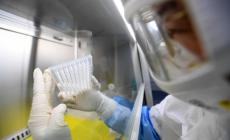 Pompeo insiste: "Prove che il virus viene da un laboratorio di Wuhan"