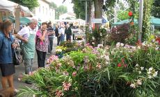 La tradizionale Sagra delle Rose 