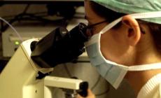 Alzheimer, nuova speranza di cura