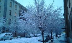 Nottata di gelo in Veneto, nel Vicentino -34,9 gradi

