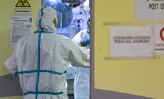 Dai medici e infermieri africani 'parmigiani' una raccolta fondi per i colleghi del Camerun   