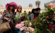 Weekend: 5 eventi da non perdere