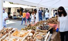 Fiera del fungo: sarà un'edizione «in grande»