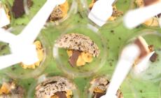 Ricetta del giorno - Mini-mousse di zucca con cioccolato