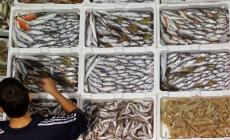 &laquo;Il pesce non manca. Ma i prezzi stanno impazzendo&raquo;