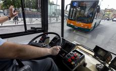 Bus, domenica a sole 5 linee a frequenza estiva (e niente notturno)