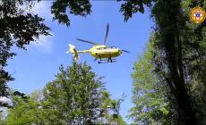 Solignano, cacciatore sta male dopo essere stato punto dai calabroni